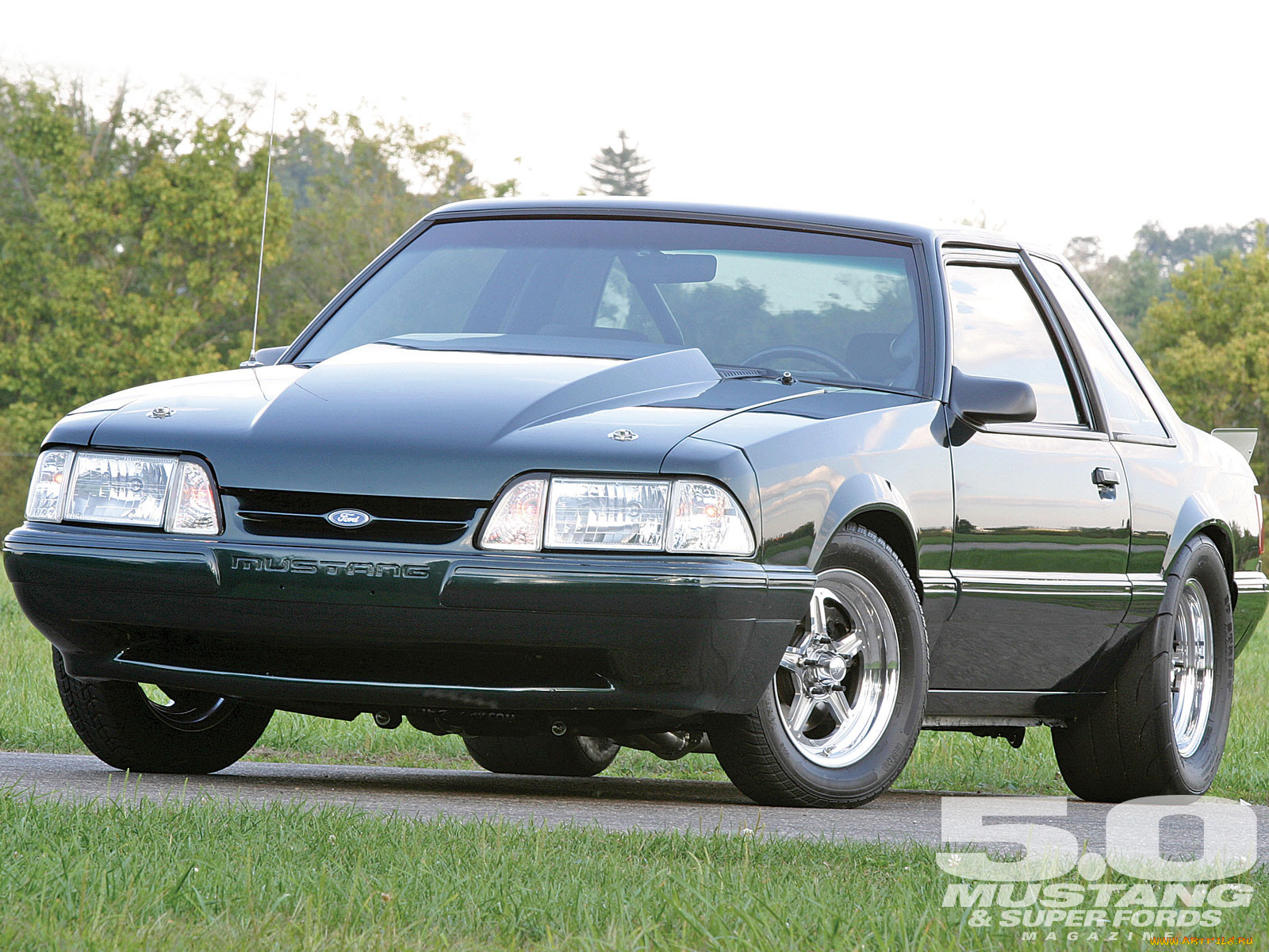 , mustang